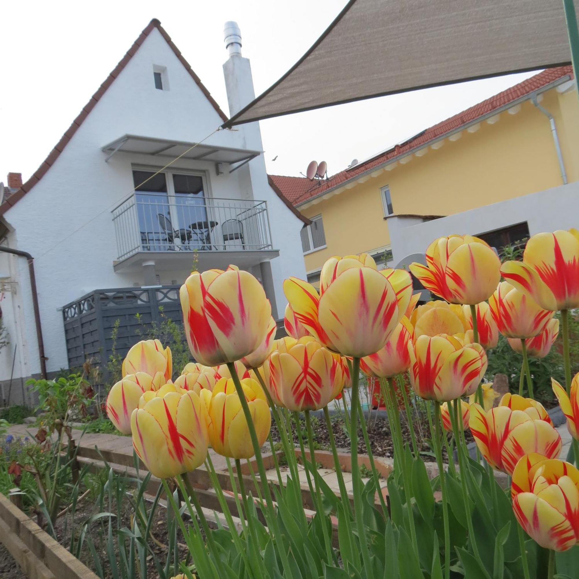 Spira House Lejlighed Eksteriør billede